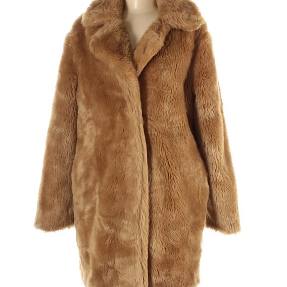 grey teddy bear coat with hood